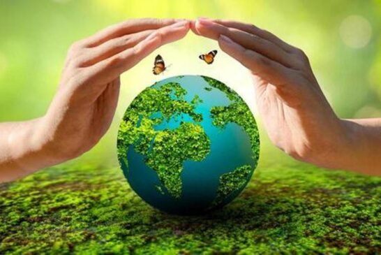 पर्यावरण के संतुलन में मुख्य किरदार ऑक्सीजन का होता है : 5 जून, विश्व पर्यावरण दिवस पर विशेष